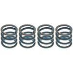 Order Rear Hold Down Spring by RAYBESTOS - H1169K For Your Vehicle