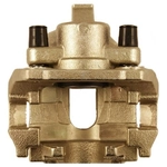 Order PROMECANIX - 10-09213-1 - Disc Brake Caliper For Your Vehicle