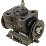 Order Rear Left Wheel Cylinder by RAYBESTOS - WC370247 For Your Vehicle