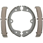 Purchase RAYBESTOS - 869PG - Rear Parking Brake Shoes