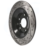 Order Rear Performance Rotor by DS-ONE - DS1-981008 For Your Vehicle