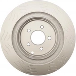 Purchase Slotted Disque arrière de performance  - RAYBESTOS Specialty Street Performance - 980951PER