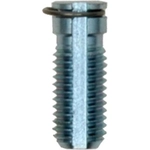 Order Rear Right Adjusting Screw by RAYBESTOS - H1861 For Your Vehicle