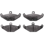 Order Rear Semi Metallic Pads by RAYBESTOS - PGD491AM For Your Vehicle
