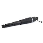 Order ARNOTT - AS3429 - Air Strut For Your Vehicle