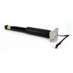 Order ARNOTT - MR4360 - Shock Absorber For Your Vehicle