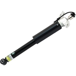 Order Rear Shock Absorber by ARNOTT - SK3357 For Your Vehicle