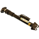 Order Rear Shock Absorber by BILSTEIN - 24-144919 For Your Vehicle