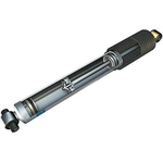 Order BILSTEIN - 24-185783 - Rear Shock Absorber For Your Vehicle