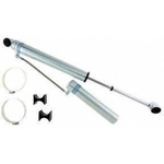 Order Rear Shock Absorber by BILSTEIN - 25-187601 For Your Vehicle