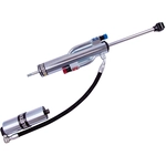 Order BILSTEIN - 25-316247 - Shock Absorber For Your Vehicle