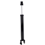 Order Rear Shock Absorber by FCS AUTOMOTIVE - 346242 For Your Vehicle