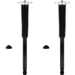 Order Rear Shock Absorber by FCS AUTOMOTIVE - 8346554 For Your Vehicle