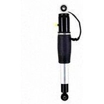 Order Rear Shock Absorber by FCS AUTOMOTIVE - 99079 For Your Vehicle