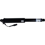 Order Rear Shock Absorber by MOTORCRAFT - ASH1279 For Your Vehicle