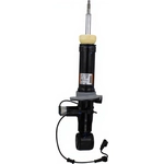 Order MOTORCRAFT - ASH85885 - Rear Shock Absorber For Your Vehicle