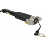 Order Rear Shock Absorber by MOTORCRAFT - ASH85961 For Your Vehicle