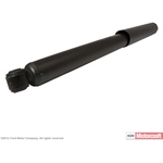 Order Rear Shock Absorber by MOTORCRAFT - ASH12220 For Your Vehicle