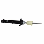Order Rear Shock Absorber by MOTORCRAFT - ASH759 For Your Vehicle