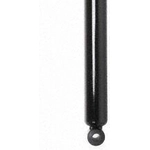 Order Rear Shock Absorber by PRT - 173502 For Your Vehicle