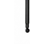 Order Rear Shock Absorber by PRT - 173698 For Your Vehicle