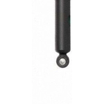 Order Rear Shock Absorber by PRT - 174386 For Your Vehicle