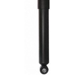 Order Rear Shock Absorber by PRT - 175407 For Your Vehicle