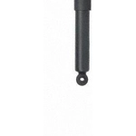 Order Rear Shock Absorber by PRT - 190008 For Your Vehicle