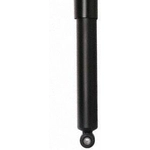Order Rear Shock Absorber by PRT - 194506 For Your Vehicle