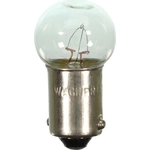 Order Rear Side Marker (Pack of 10) by WAGNER - 57 For Your Vehicle
