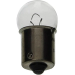 Order Marqueur latéral arrière (paquet de 10) de WAGNER - 67 For Your Vehicle