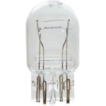 Order Rear Side Marker by WAGNER - BP7443 For Your Vehicle