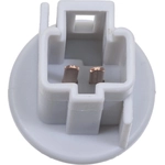 Order Rear Sidemarker Light Socket by BLUE STREAK (HYGRADE MOTOR) - S2659 For Your Vehicle