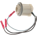 Order BLUE STREAK (HYGRADE MOTOR) - S531 - License Lamp Socket For Your Vehicle