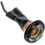 Order DORMAN/CONDUCT-TITE - 85862 - Multi-Purpose Light Socket For Your Vehicle