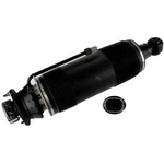 Order Rear Strut by ARNOTT - SK2419 For Your Vehicle