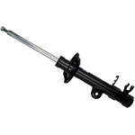 Order Rear Strut by BILSTEIN - 22-260987 For Your Vehicle