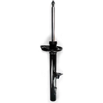 Order Rear Strut by FCS AUTOMOTIVE - 336313 For Your Vehicle