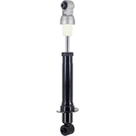 Order Rear Strut by FCS AUTOMOTIVE - 345461 For Your Vehicle