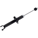 Order Rear Strut by FCS AUTOMOTIVE - 355133 For Your Vehicle