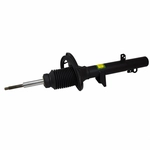 Order Rear Strut by MOTORCRAFT - AST52 For Your Vehicle