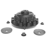 Order Rear Strut Mount by WESTAR INDUSTRIES - ST1954 For Your Vehicle