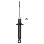 Order Rear Strut by PRT - 372148 For Your Vehicle