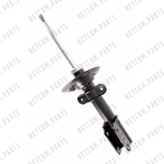 Order Rear Strut by TRANSIT WAREHOUSE - 78-71662 For Your Vehicle