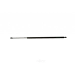Order Rear Tailgate Lift by SHERMAN PARTS - 088A-139GL For Your Vehicle