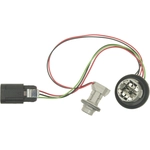 Order BLUE STREAK (HYGRADE MOTOR) - S1688 - Parking Light Bulb Socket For Your Vehicle