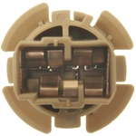 Order BLUE STREAK (HYGRADE MOTOR) - S1734 - Rear Turn Signal Light Socket For Your Vehicle