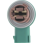 Order Rear Turn Signal Light Socket by BLUE STREAK (HYGRADE MOTOR) - S2647 For Your Vehicle