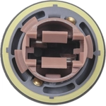 Order Rear Turn Signal Light Socket by BLUE STREAK (HYGRADE MOTOR) - S2651 For Your Vehicle