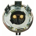 Order Rear Turn Signal Light Socket by BLUE STREAK (HYGRADE MOTOR) - HP4570 For Your Vehicle